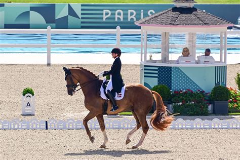 hermes zepter|2024 Paris Olympics: Dressage Grand Prix Day 1.